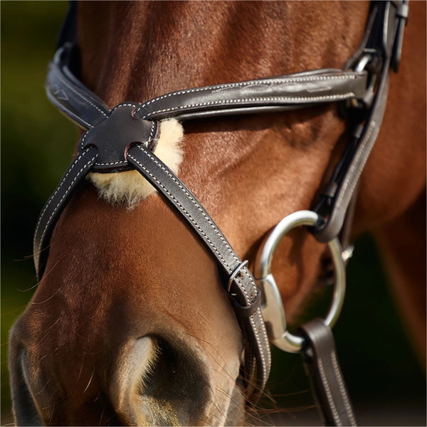 2026 Dublin Padded Mono Crown Fancy Stitch Grackle Bridle 1031502 - Brown